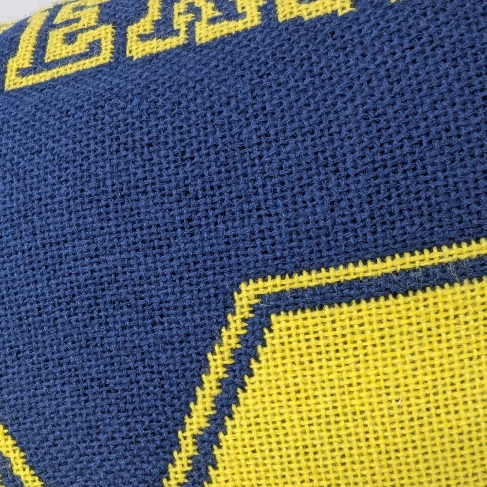 Michigan Wolverines Throw Pillows Set of 2 Navy Blue Maize Block 17x17 UofM knit